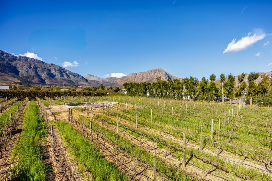 3 Bedroom Property for Sale in Franschhoek Western Cape
